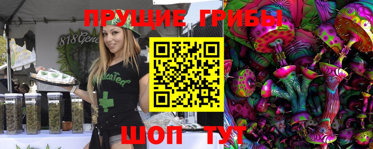 Городец  Псилоцибиновые грибы прущие грибы  Вход с VPN 