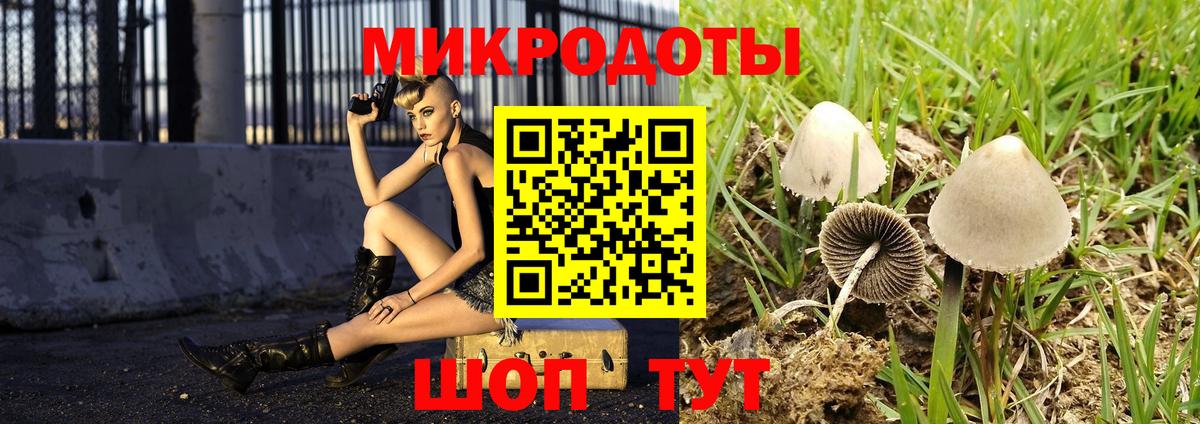 Галлюциногенные грибы Psilocybine cubensis Городец
